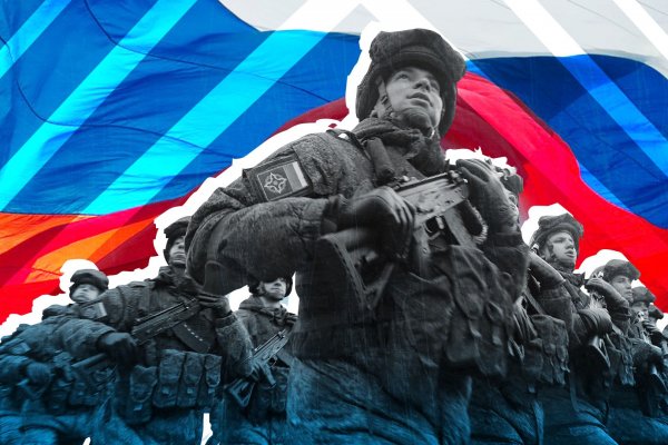 Krab13 at ветеринарная клиника