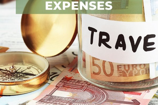 Кракен питер ветеринар гид