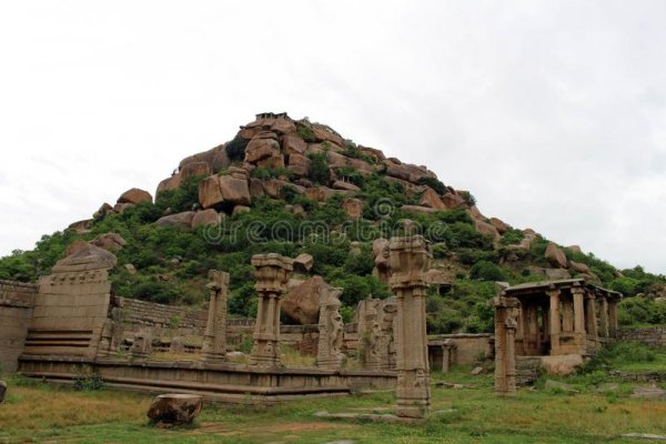 Сайт кракен рабочая ссылка лечение питомцев