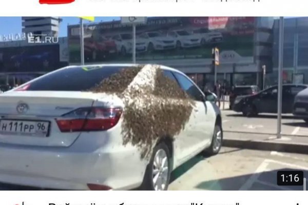 Зайти на кракен ветеринар