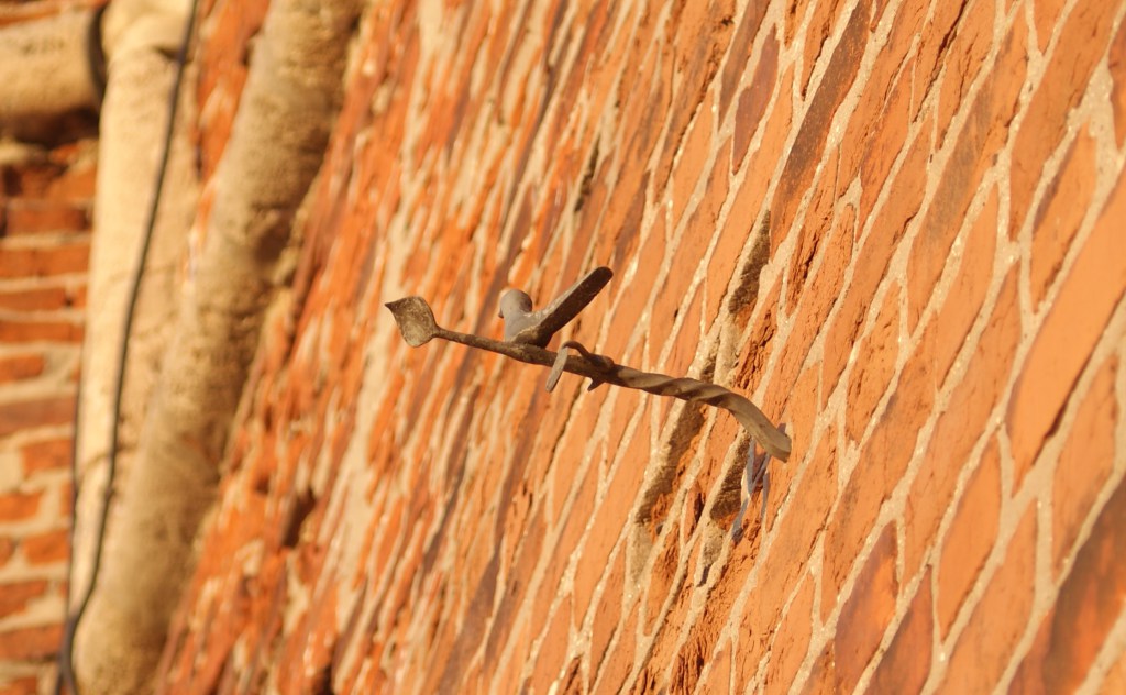 Krab36 at ветеринарная клиника