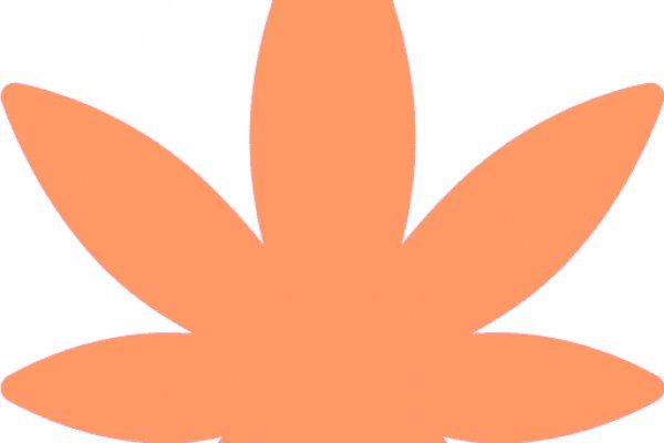 Кракен зеркало вызов ветеринара на дом