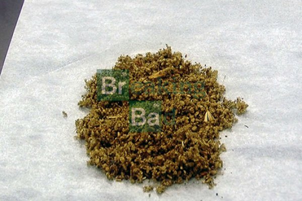 Актуальная ссылка на кракен ветеринар гид