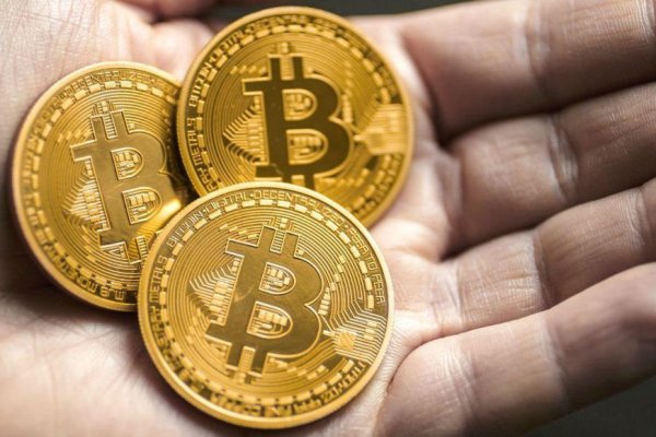 Krab19 cc ветеринар онлайн