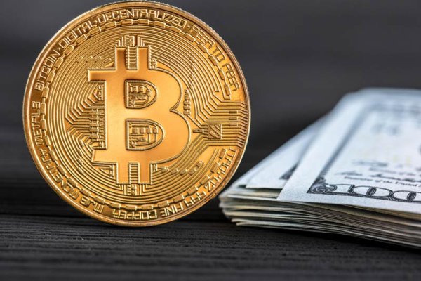 Krab9 cc лечение питомцев