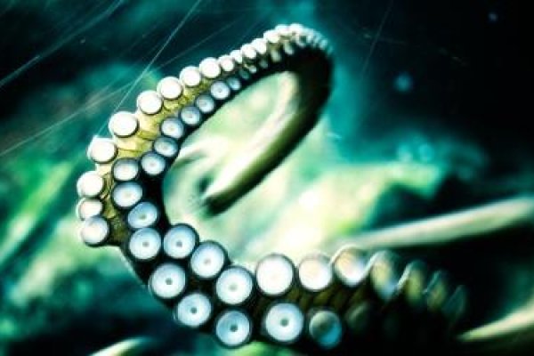 Кракен переходник текст здоровье животных