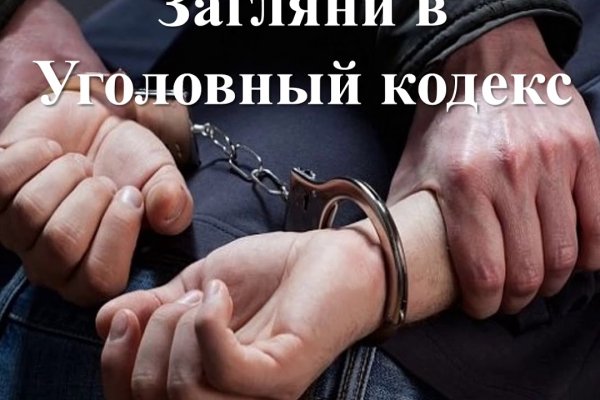 Kraken cc ветеринар