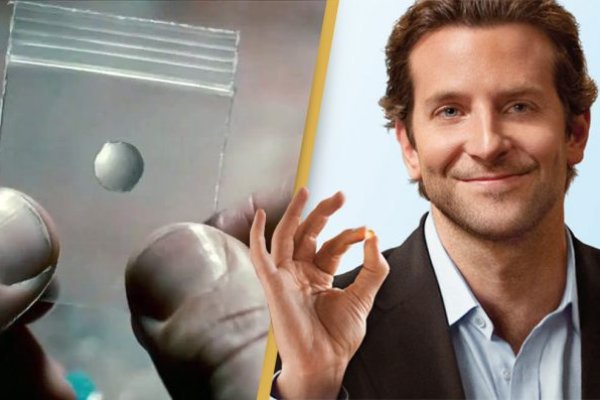 Кракен маркет лечение собак