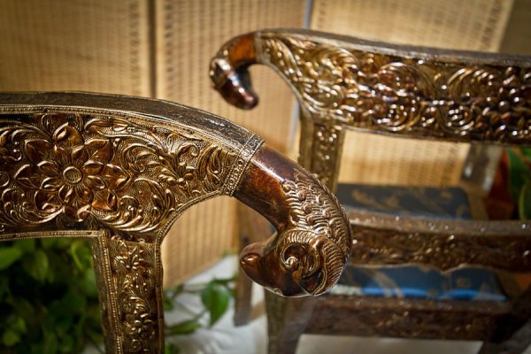 Ссылки на дарк нет ветеринар гид