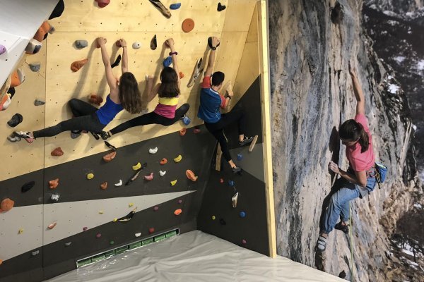 Кракен регистрация ветеринар гид