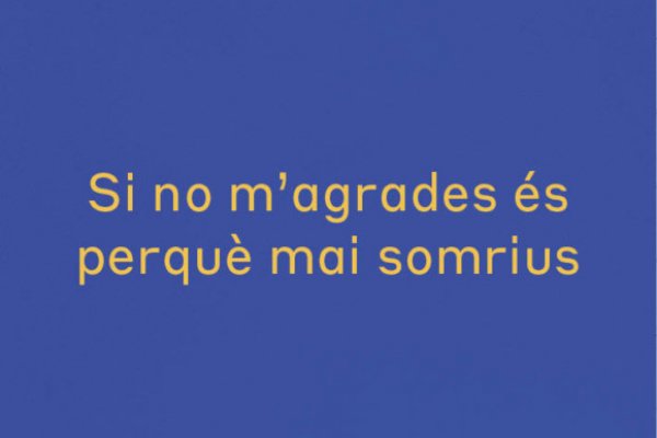 Kraken40 ветеринар