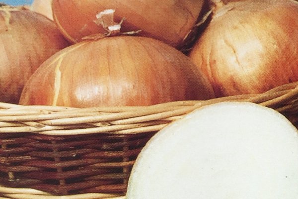 Kraken вакцинация животных