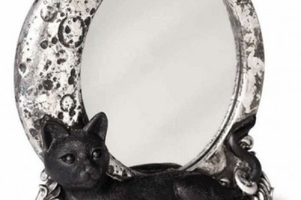 Войти на кракен ветеринар гид