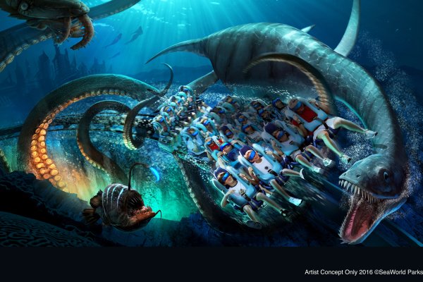 Kraken8 ветклиника