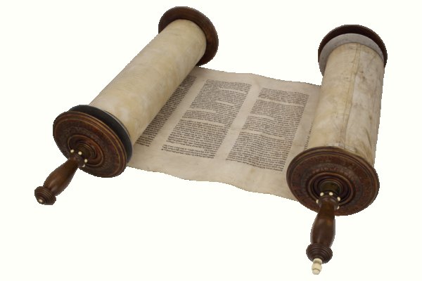 Krab42 at лечение питомцев