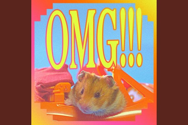 Krab24 at ветеринар гид