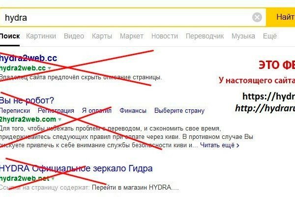 Как лечить собаку кракен сайт