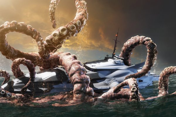 Kraken смылка ветеринар гид