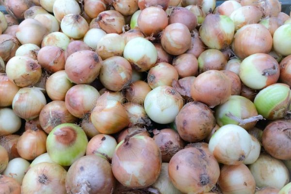 Ссылка на кракен ветеринар онлайн