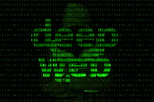 Krab23 at прививки животным