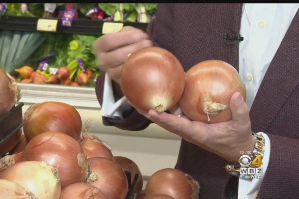 Krab31 cc ветаптека