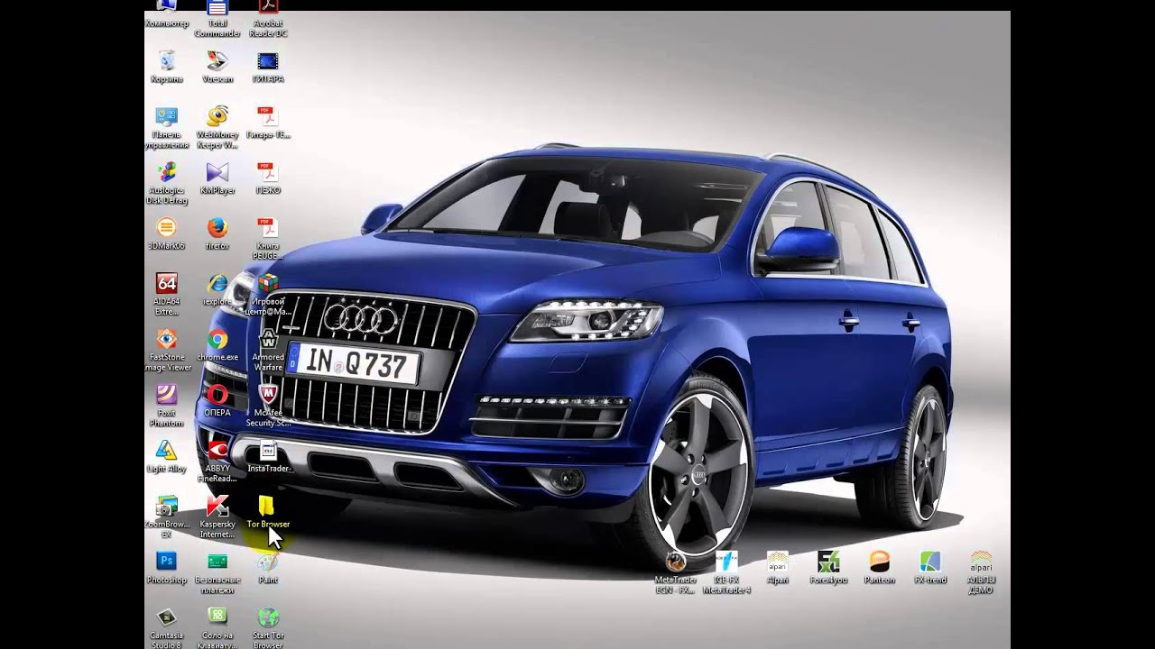 Кракен зеркало на сегодня лечение питомцев