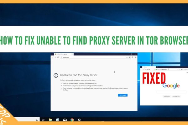 Kraken14 ветеринар