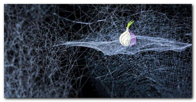 Кракен переходник только через стор здоровье животных