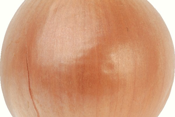 Кракен как зарегистрироваться ветклиника