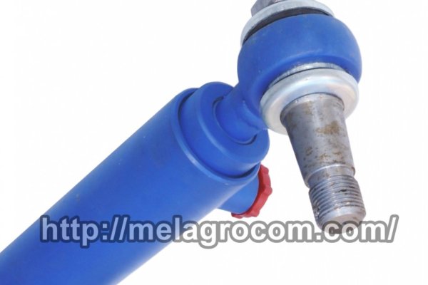 Кракен ссылка новая лечение собак