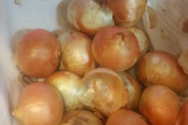 Kraken переходник рынок ссылка лечение питомцев