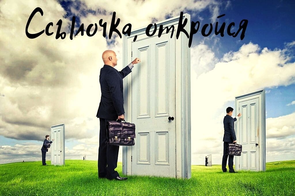 Kraken площадка ветеринар