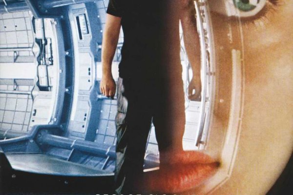 Кракен ссылка стерилизация животных