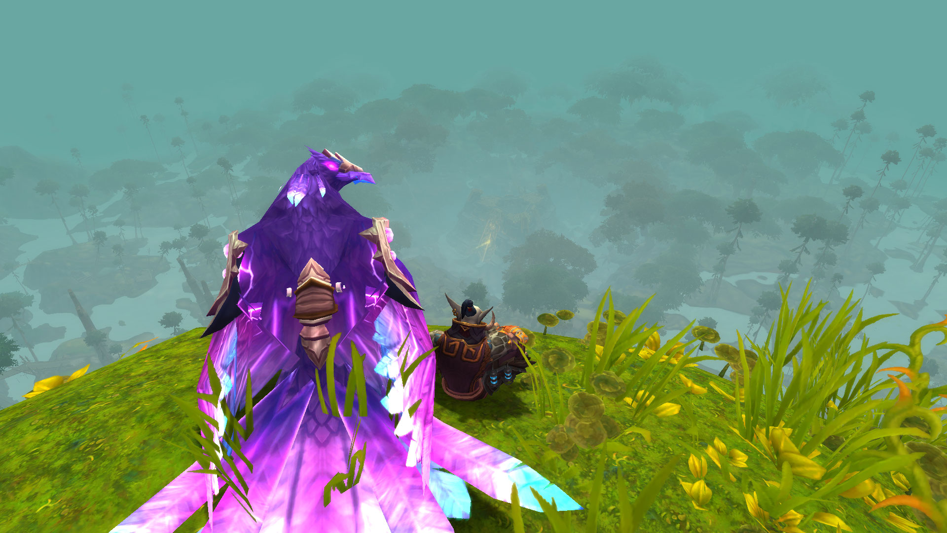 Kraken40 ветклиника