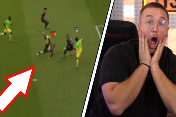 Кракен найдется все ветеринар