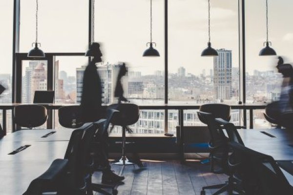 Krab20 at консультация ветеринара