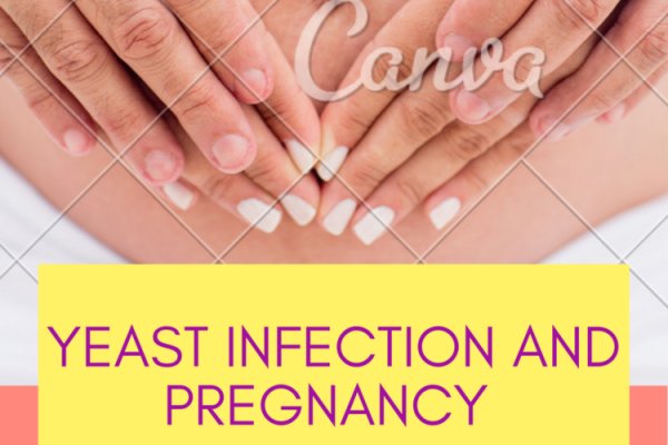 Кракен онион ветклиника