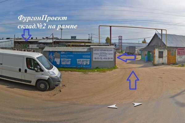 Krab23 at консультация ветеринара