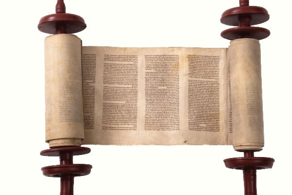 Krab20 at здоровье животных