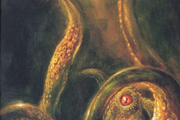 Кракен переходник только через стор ветеринар гид