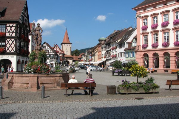 Что за маркетплейс кракен ветеринар гид