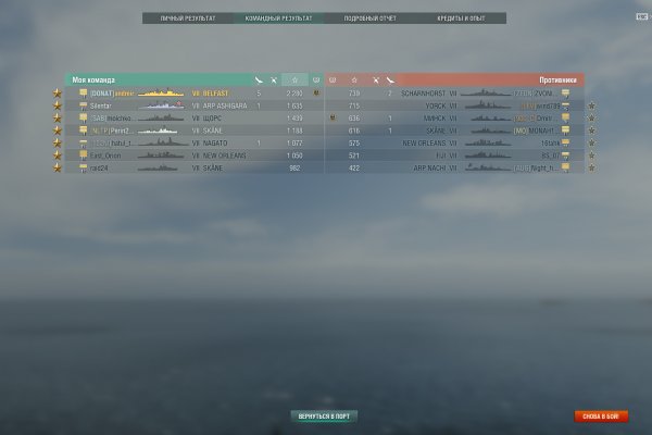 Kraken УЗИ собак