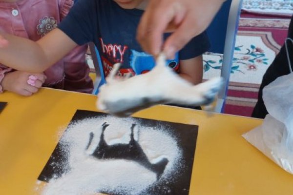 Площадки kraken здоровье животных