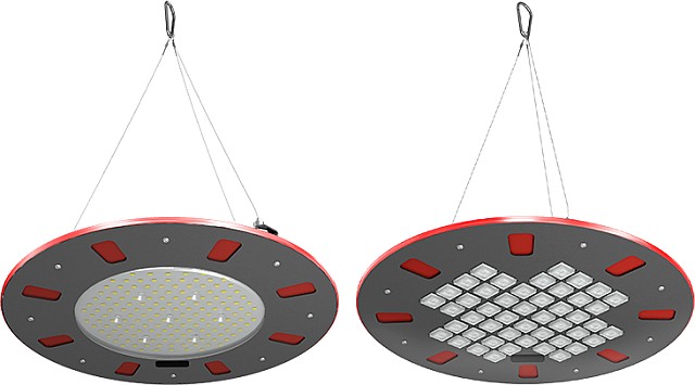 Kraken актуальное здоровье животных