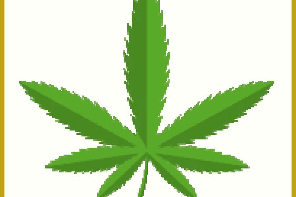 Сколько стоит ветеринар кракен