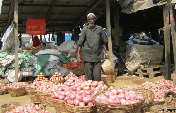 Krab43 cc ветеринар онлайн