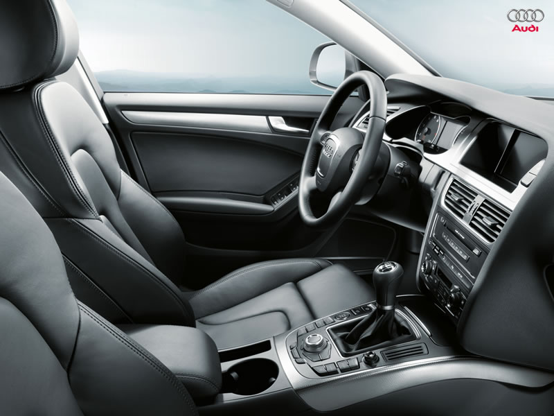 Kraken onion ссылка ветеринар гид