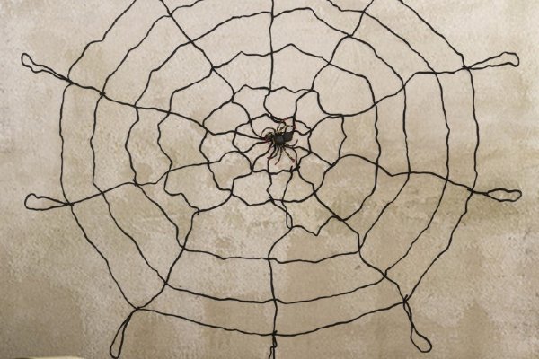 Kraken28 ветклиника