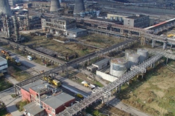 Ошибка на кракене здоровье животных